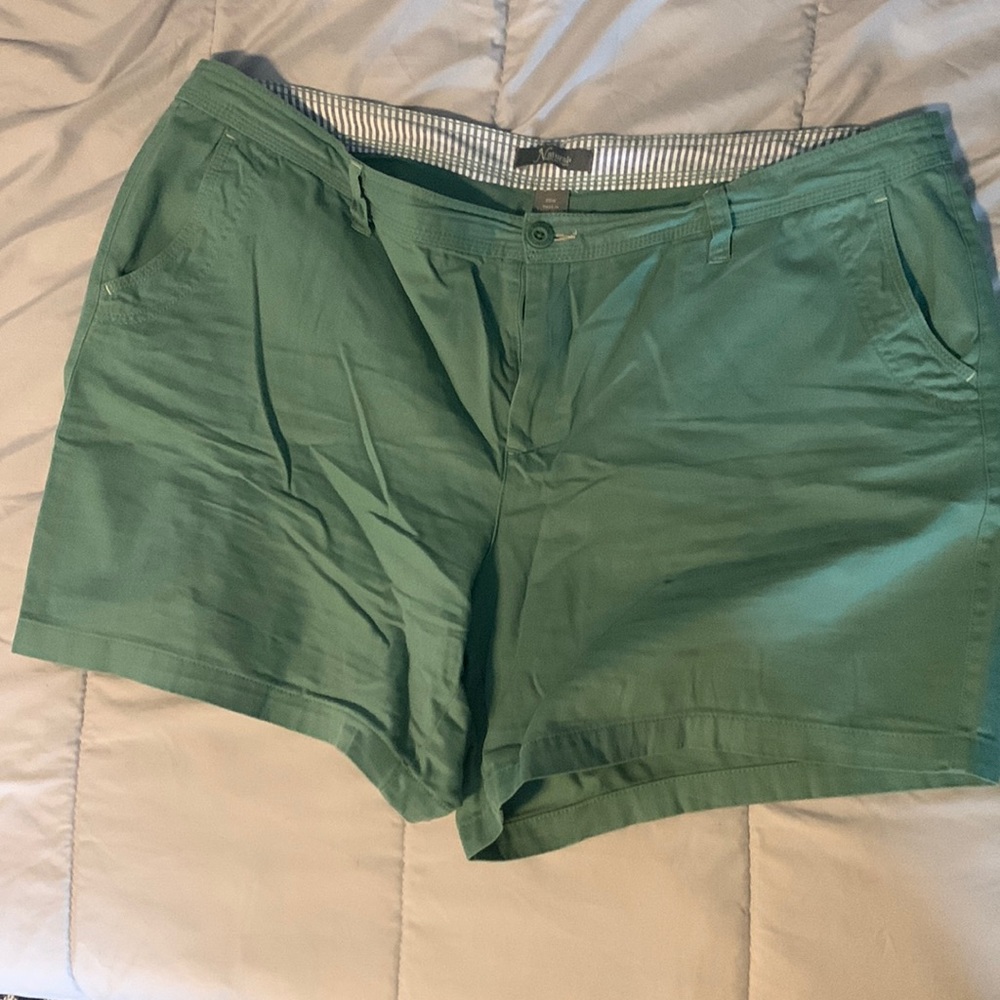 Plus size spring green shorts